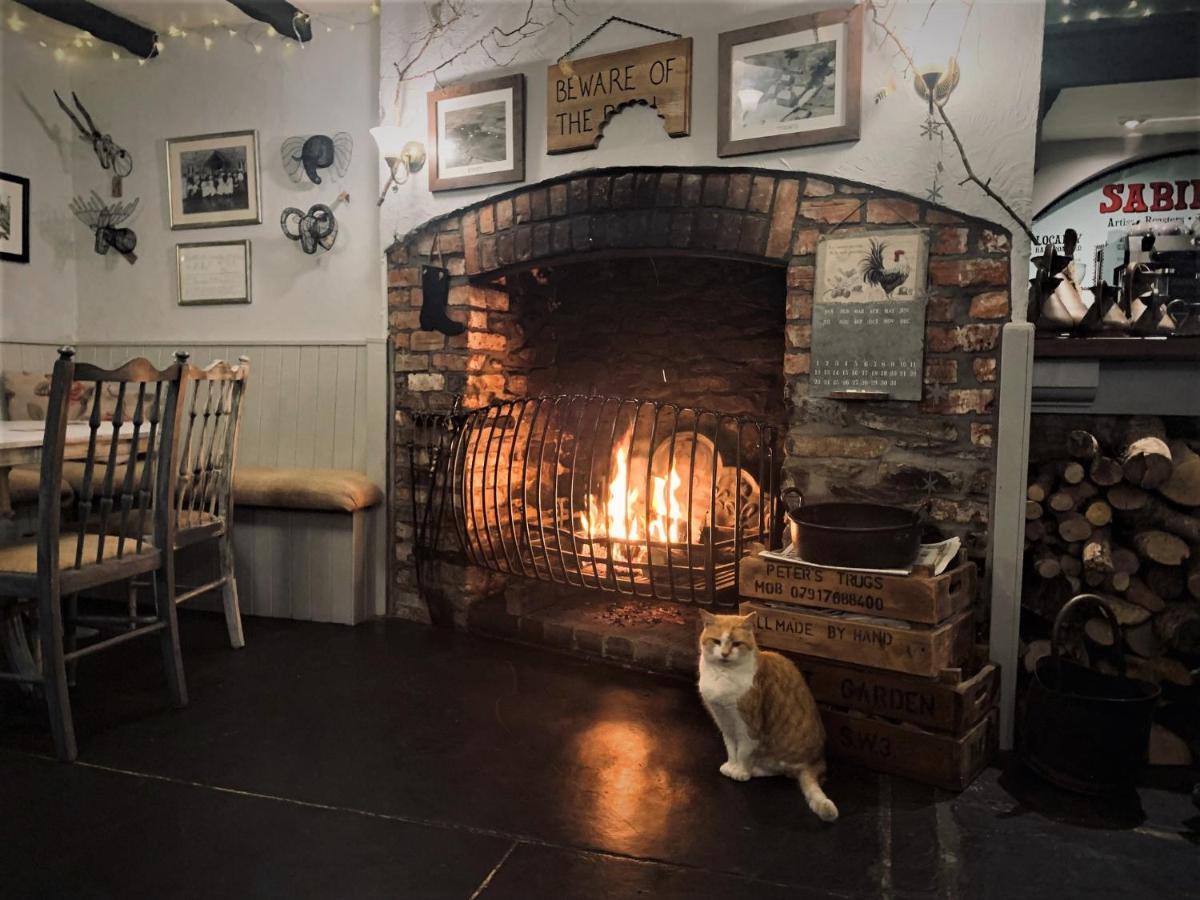 Molesworth Accommodation, Pyworthy, Devon โฮลส์เวิร์ทธี ภายนอก รูปภาพ