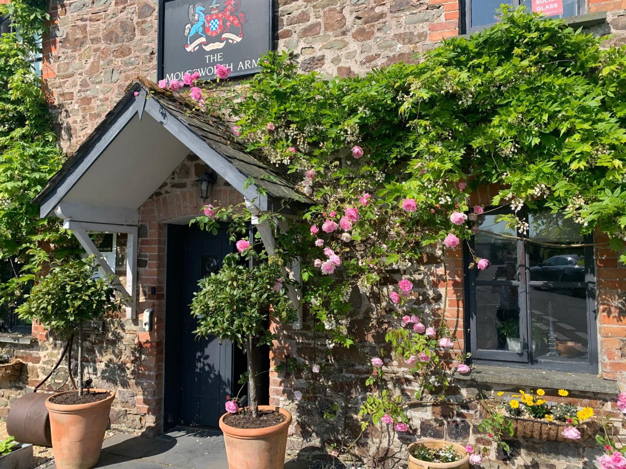 Molesworth Accommodation, Pyworthy, Devon โฮลส์เวิร์ทธี ภายนอก รูปภาพ