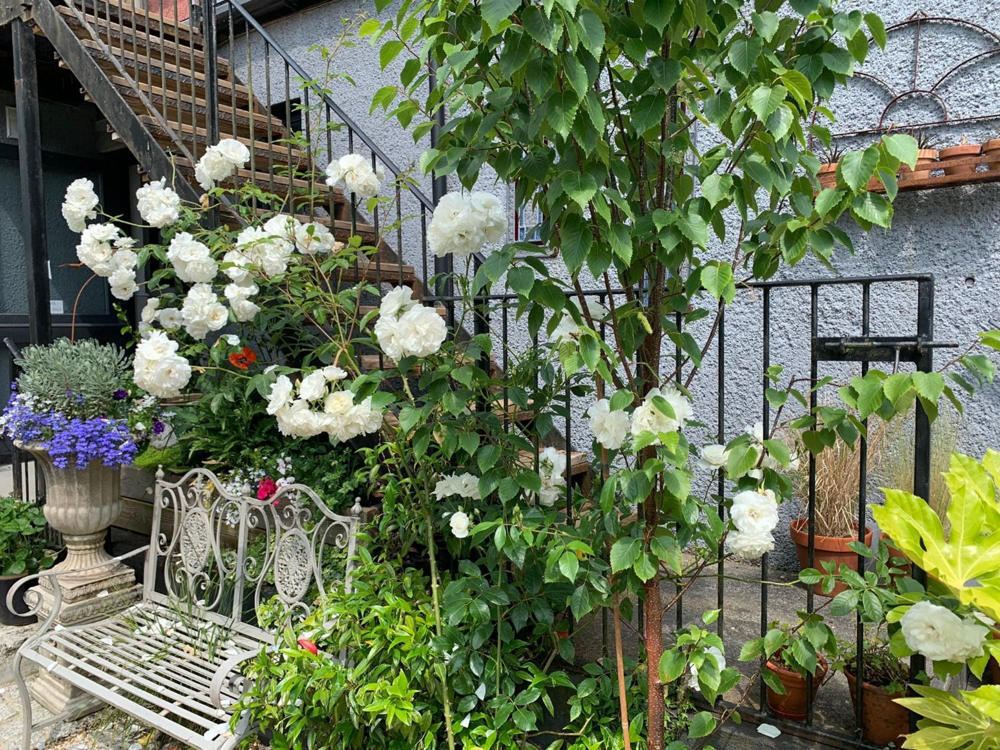 Molesworth Accommodation, Pyworthy, Devon โฮลส์เวิร์ทธี ภายนอก รูปภาพ