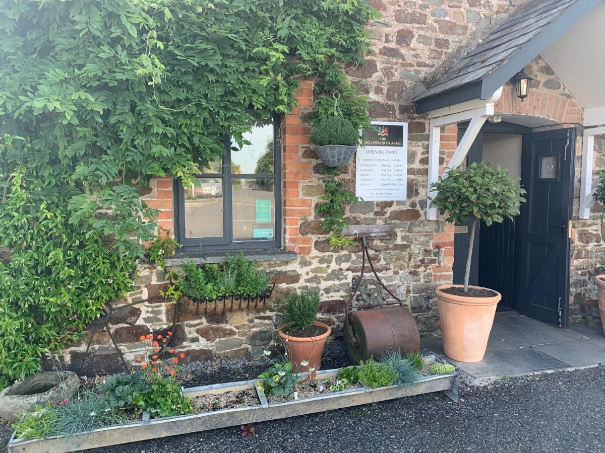 Molesworth Accommodation, Pyworthy, Devon โฮลส์เวิร์ทธี ภายนอก รูปภาพ